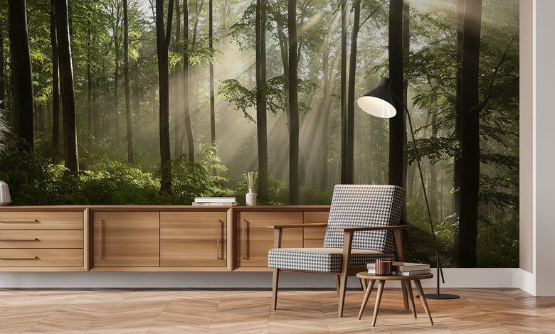 tajemniczy las blisko nas fototapety las fototapety demural