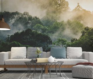 poranna mgla nad tropikalnym lasem fototapety do salonu fototapety demural