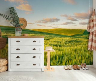 sloneczne wzgorza o zachodzie slonca fototapety krajobraz fototapety demural