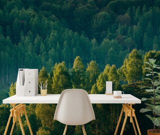 lesna glebia z widokiem na drzewa fototapety krajobraz fototapety demural