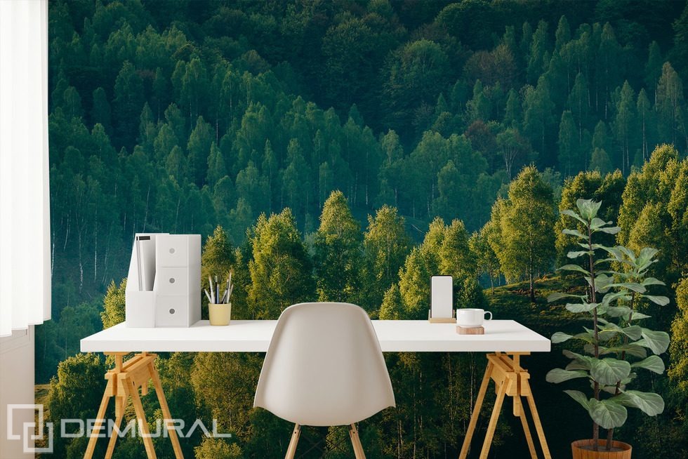 Leśna głębia z widokiem na drzewa Fototapety Krajobraz Fototapety Demural