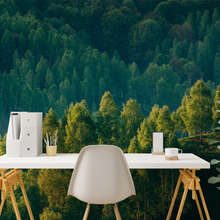 Lesna-glebia-z-widokiem-na-drzewa-fototapety-krajobraz-fototapety-demural