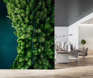 lesna sciezka nad woda z lotu ptaka fototapety do biura fototapety demural