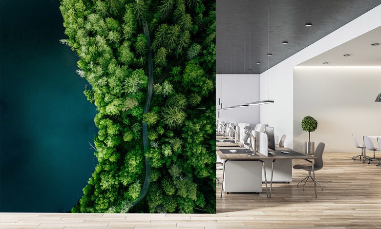 lesna sciezka nad woda z lotu ptaka fototapety do biura fototapety demural