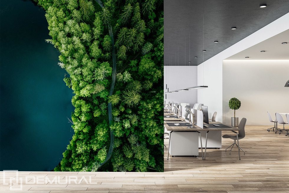 Leśna ścieżka nad wodą z lotu ptaka Fototapety do biura Fototapety Demural