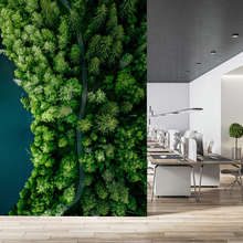 Lesna-sciezka-nad-woda-z-lotu-ptaka-fototapety-do-biura-fototapety-demural