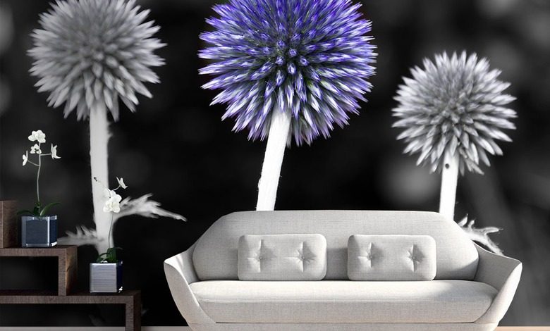 kwitnie szczypior fototapety kwiaty fototapety demural