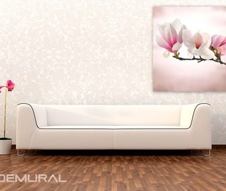 kwitnaca magnolia plakaty kwiaty plakaty demural