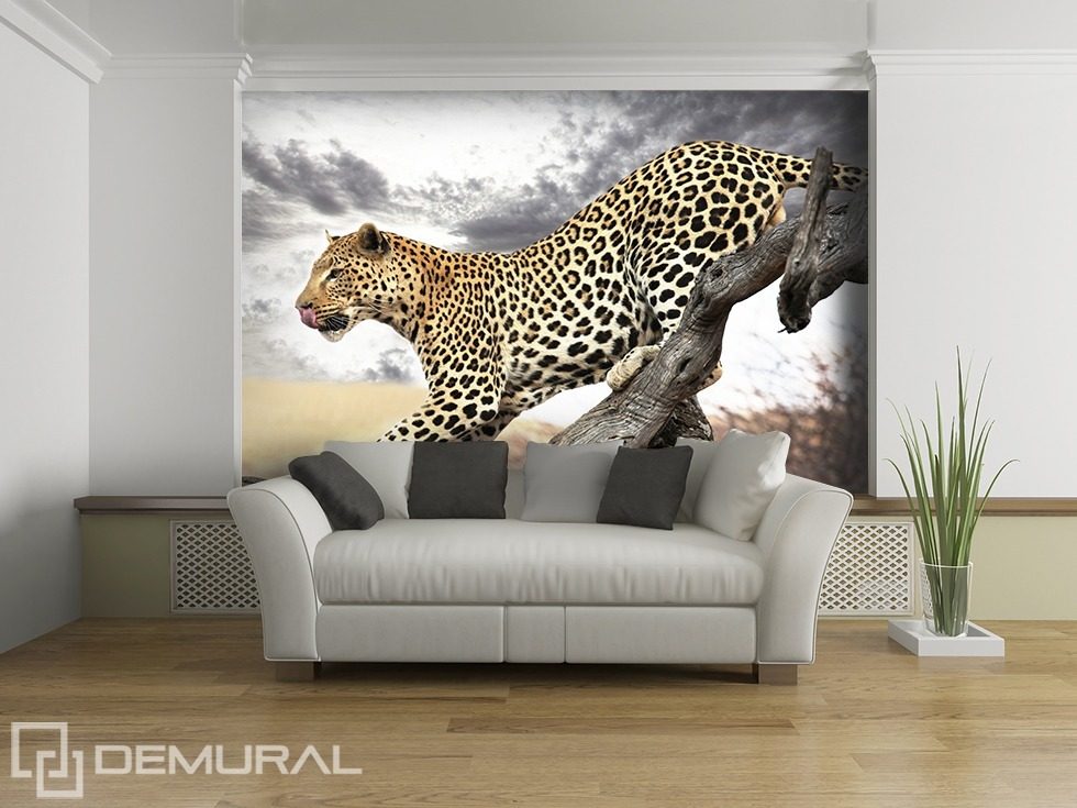 Skok geparda Fototapety Zwierzęta Fototapety Demural