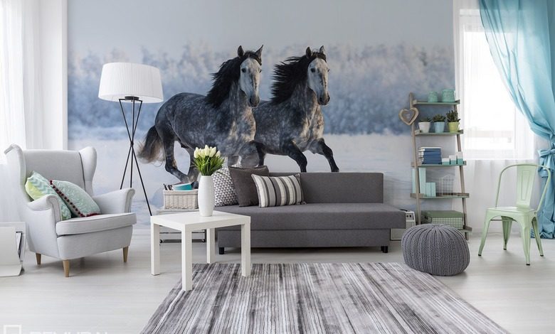 pedzac w strone nieznanego fototapety zwierzeta fototapety demural