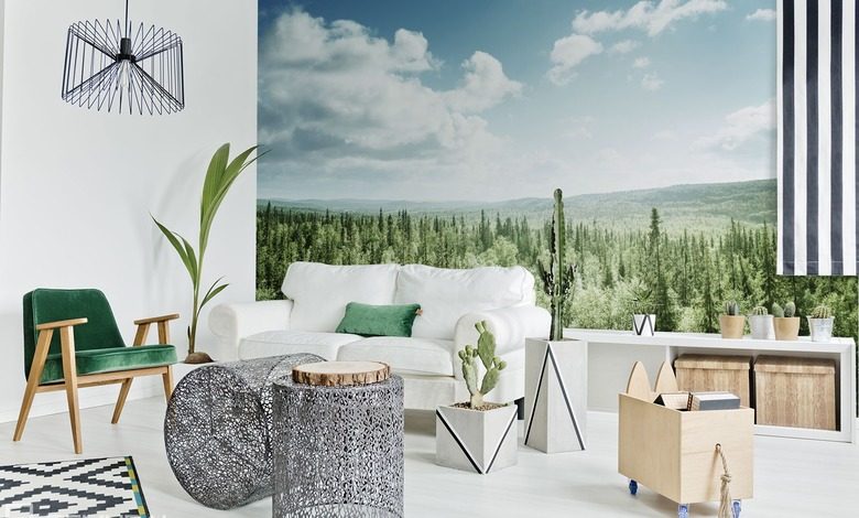 w pieknym lesnym zakatku fototapety las fototapety demural