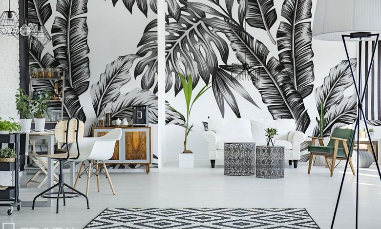 z monochromatycznym akcentem fototapety czarno biale fototapety demural