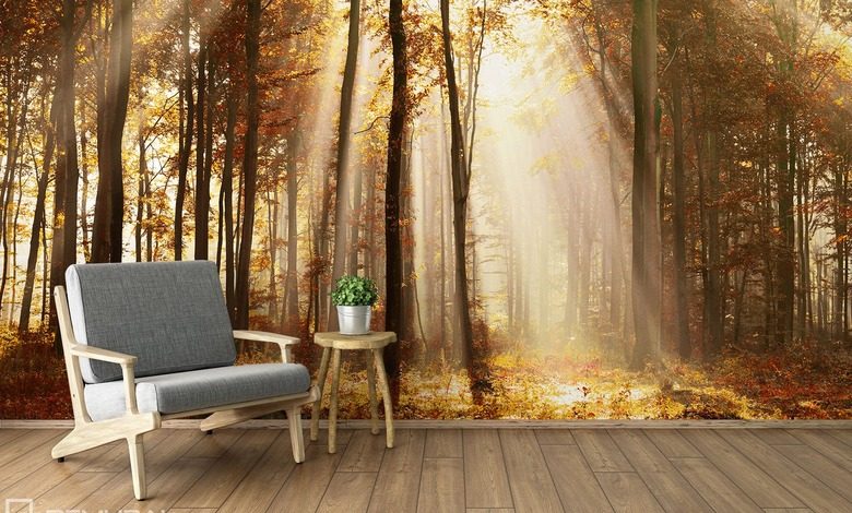 opowiem ci lesna bajke fototapety las fototapety demural