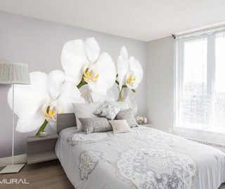 biel i soczysta orchidea fototapety kwiaty fototapety demural