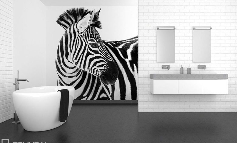 pieknosc w paski fototapety zwierzeta fototapety demural