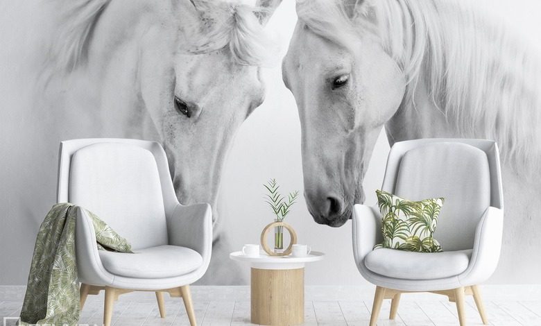 w przygotowaniu do cwalu fototapety zwierzeta fototapety demural