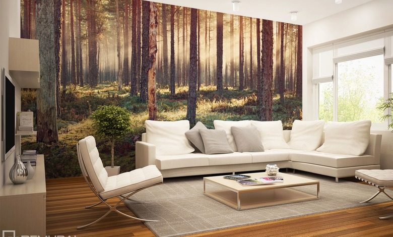 lesne zachwycenie fototapety las fototapety demural