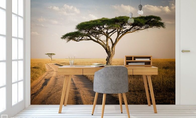 subtelnosc poranka fototapety krajobraz fototapety demural