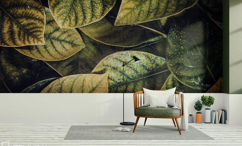 poranna zielen fototapety tekstury fototapety demural